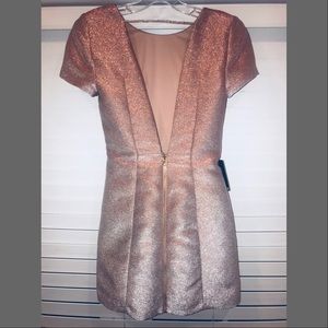 express rose gold dress